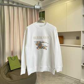 Picture of Burberry Sweatshirt _SKUBurberryS-2XLxetr29631039
